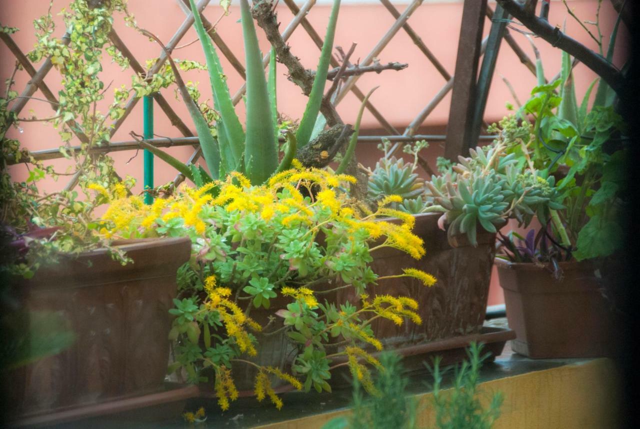 Appartamento Fiore Róma Kültér fotó